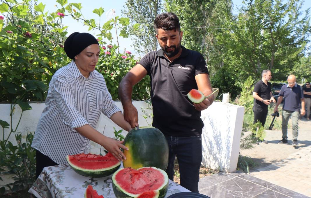 Köylü bu kez hasadın bereketini anlattı: İyi para kazanıyoruz 2